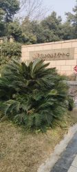 点击看大图 -莲生母婴月子中心(清水河公园店)