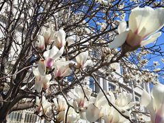 -一韩亭韩式烤肉(高新店)