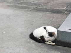 -梦姑塘文化公园