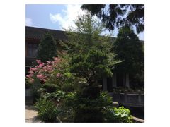 -普陀山慧济禅寺