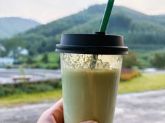 -陆羽泡的茶(集散中心店)