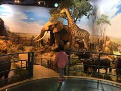 -陕西自然博物馆