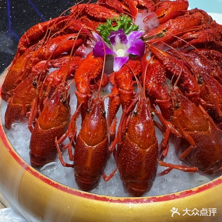 清爽一夏，虾与你共舞