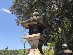-奈良公园