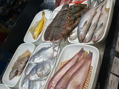 -高佳庄·舟山海鲜(海景旗舰店)