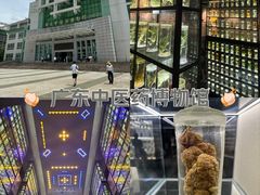 -广东中医药博物馆