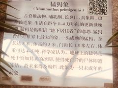 -中国第四纪冰川遗迹陈列馆