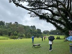 -新加坡总统府
