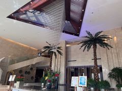 -常州环球恐龙城维景国际大酒店