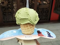 -野人先生现做冰淇淋(西安赛格店)