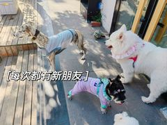 -小意思咖啡店(草桥店)