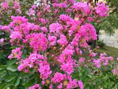 -北京天湖会议中心