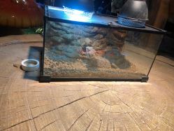 -酷嗒动物文化乐园(cutezoo西溪乐天城店)