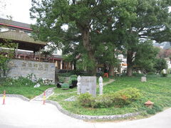 外观2-普陀山雷迪森庄园