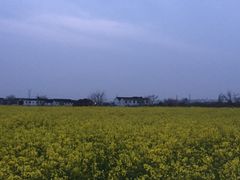 -桃花岛景观公园