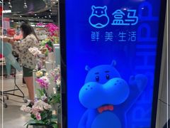 -盒马鲜生(金桥国际广场店)