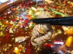 -西木兔(大圆祥店)
