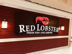 -RED LOBSTER(多伦多DT店)