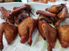 -东鸽皇(奥园·中环广场店)