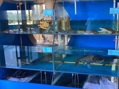 -上地宴·中关村的会客厅(清河高铁站店)