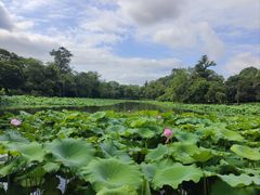 -雀儿山公园