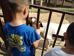 -石家庄市动物园