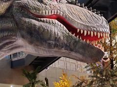 -湖南省地质博物馆