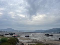 -北岐滩涂