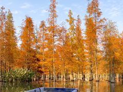 -白鹭湾湿地公园