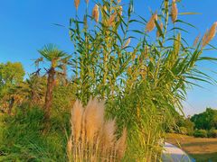 -祥源·阜阳生态乐园