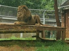 -昆明动物园