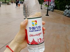 -济南方特东方神画