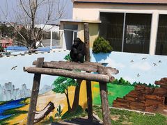 -西霞口神雕山野生动物世界