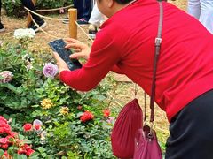 -人民公园(罗湖区)