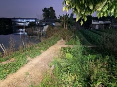 -隔田烧鸡