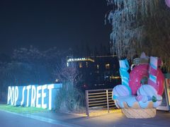 -艾溪湖湿地公园