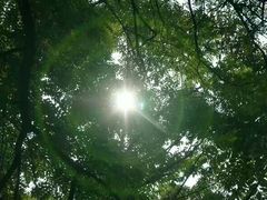 -沂蒙山旅游区云蒙景区(蒙山国家森林公园)