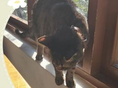 -猫的天空之城概念书店(苏州平江店)