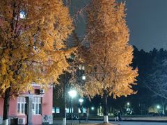 -四川大学(望江校区)