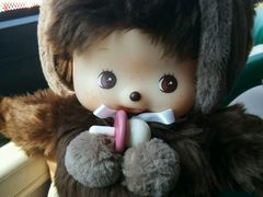 -PAWTOY爪e玩偶店(天兴罗斯福店)