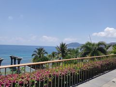 -日落吧·海景咖啡厅·餐酒吧·鸡尾酒·下午茶·乐队表演·浪漫夕阳·三亚文华东方酒店