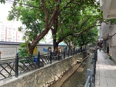 -小洲村