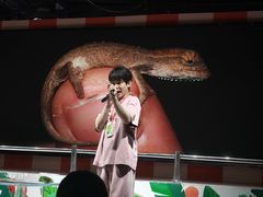 -上海大自然野生昆虫馆(东方明珠·爬宠昆虫探索中心)