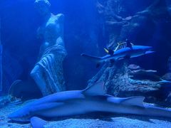 -太平洋海底世界