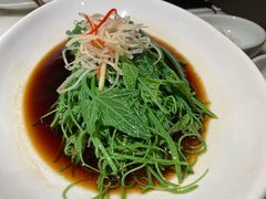 -初蓉丨遇见新川菜(亲贤街荣耀店)