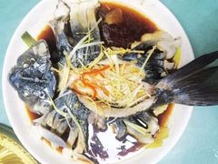 -煲来饱去冷水鱼