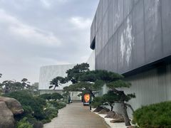 -罗红摄影艺术馆