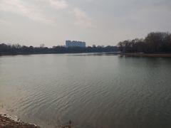 -沙澧河风景区