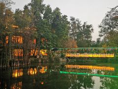 -荔湾湖公园