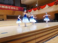 -中音阶梯艺术教育(音乐学院校区)